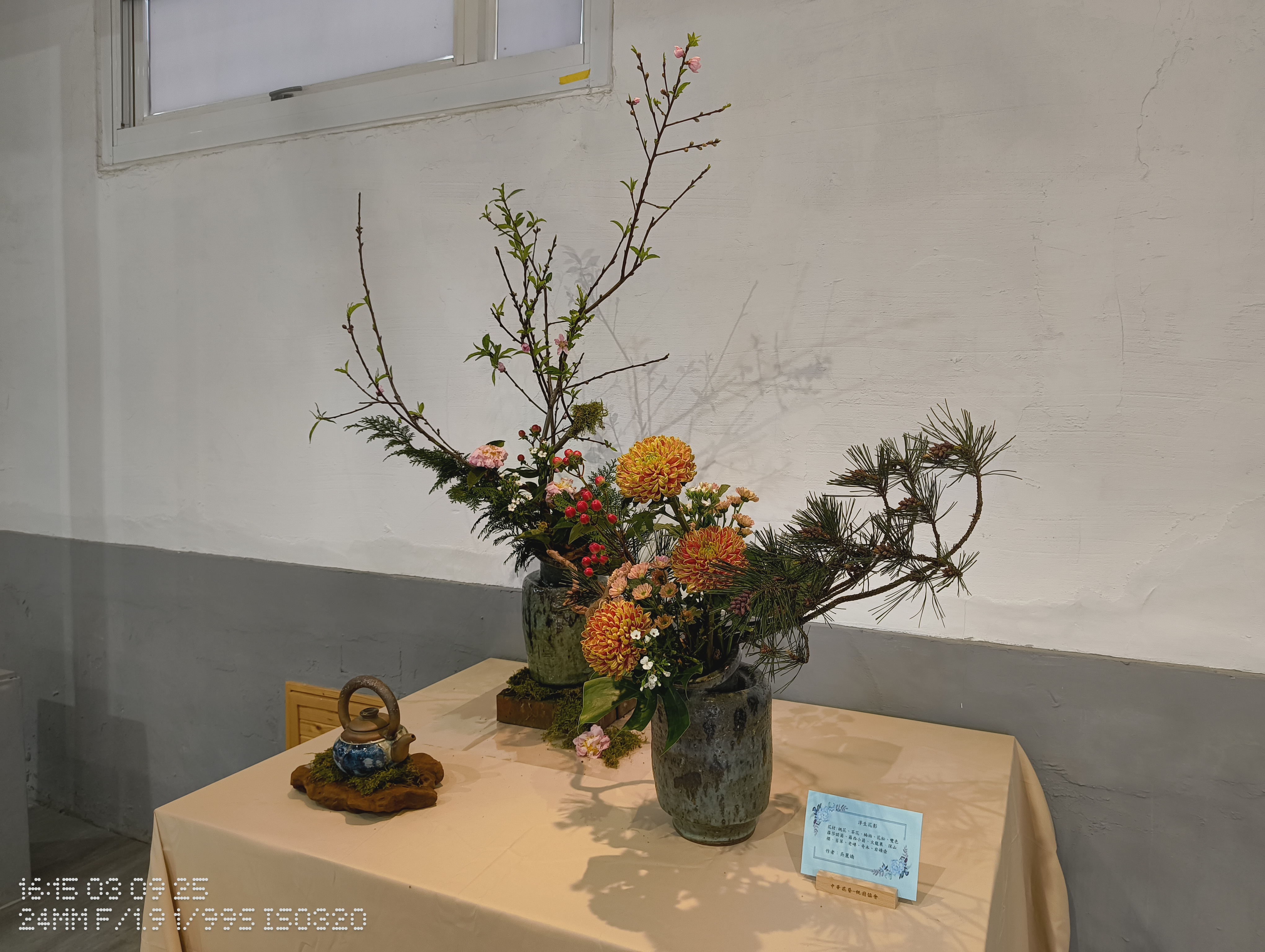 IMG_20250309_161543951