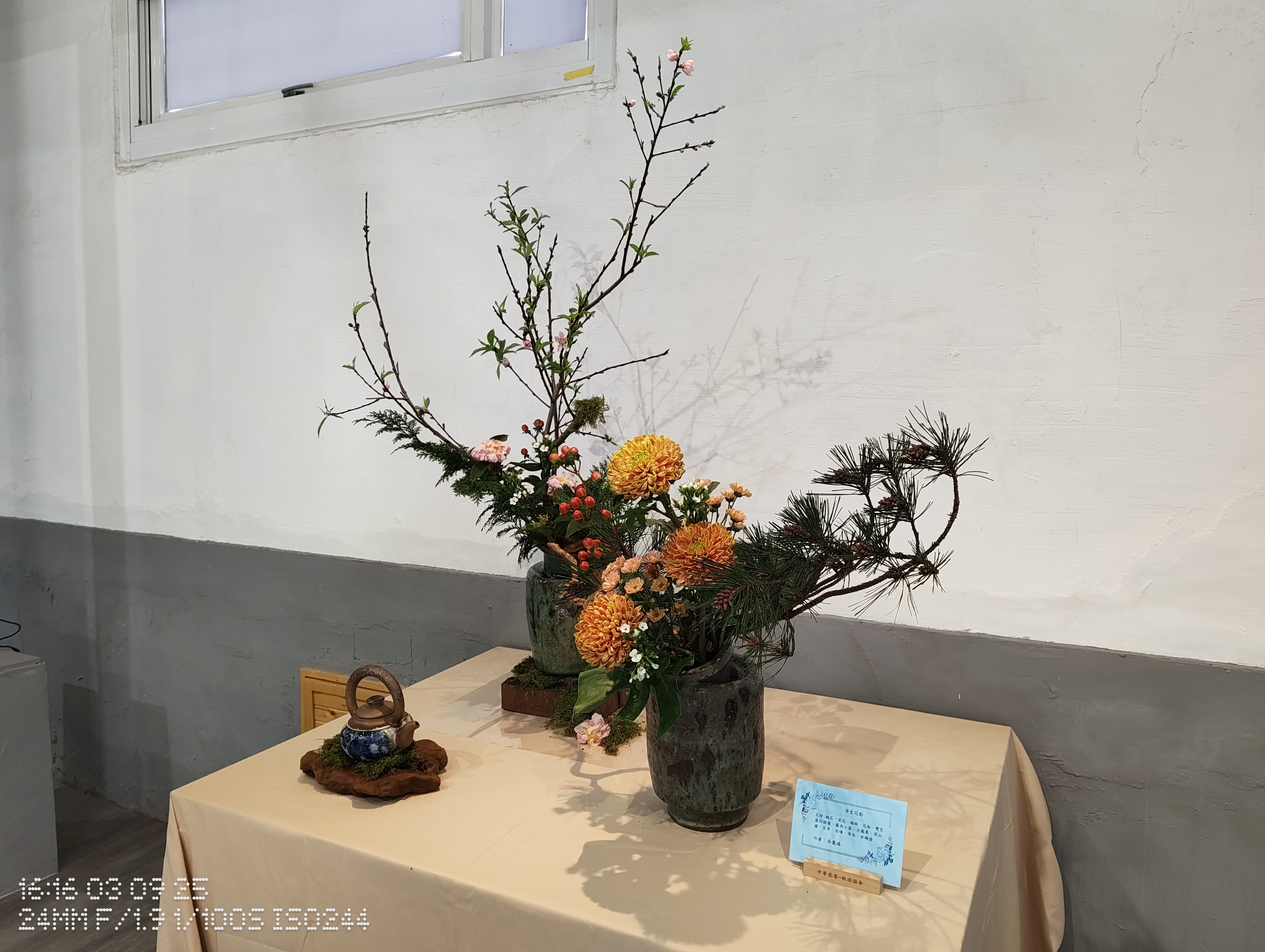 IMG_20250309_161609194