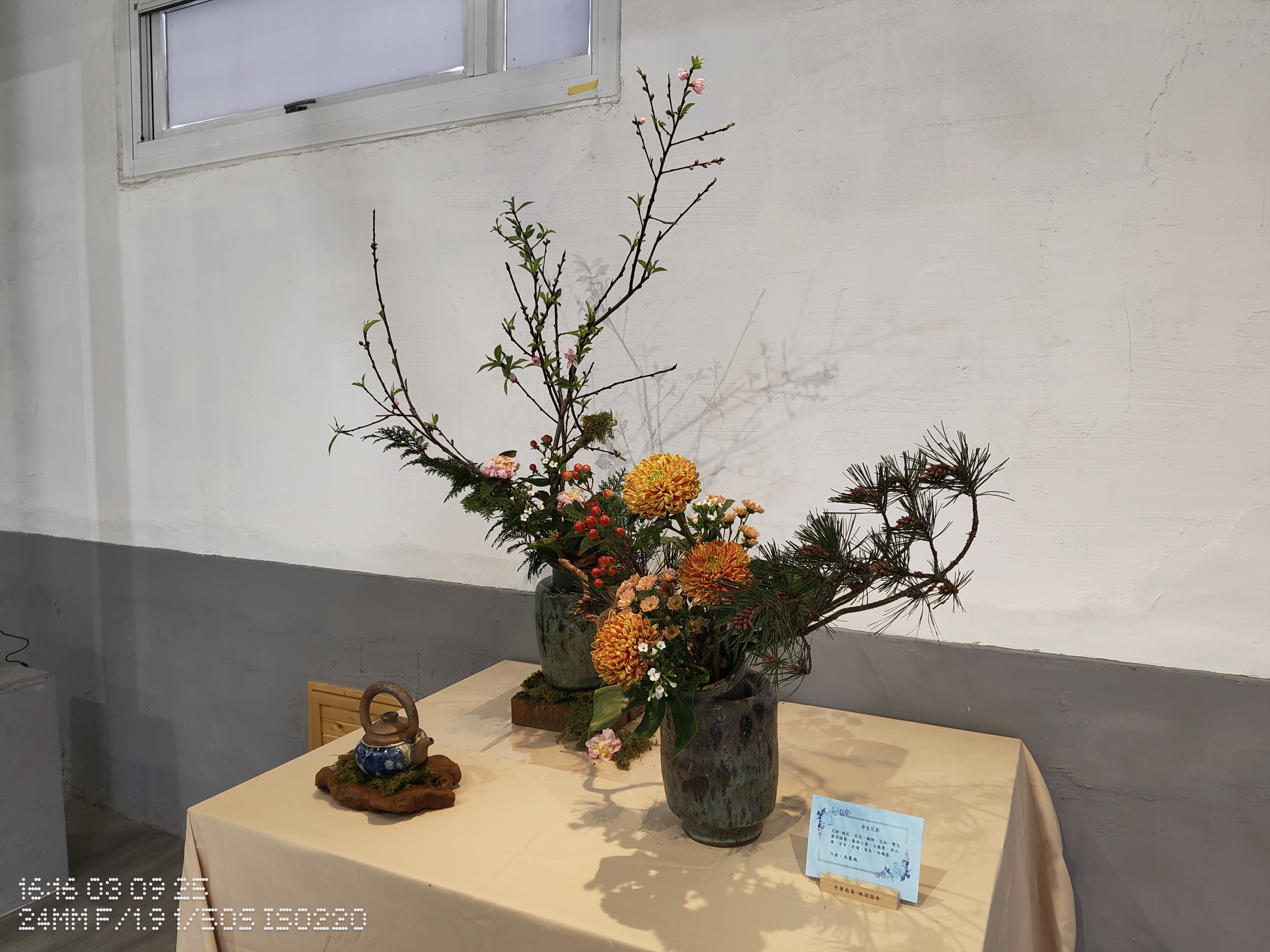IMG_20250309_161628845