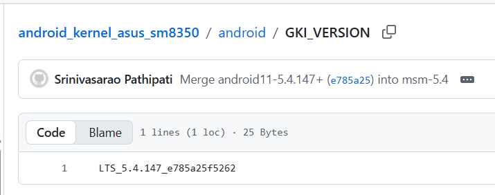 android/GKI_VERSION 內的 kernel hash
